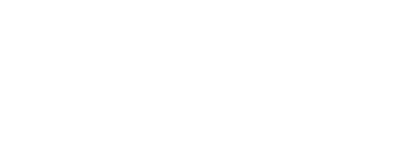 cropped logo logint wt